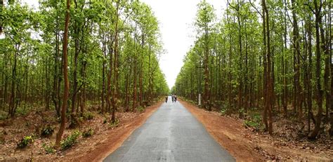 Jhargram Tourism Package Tours From Kolkata