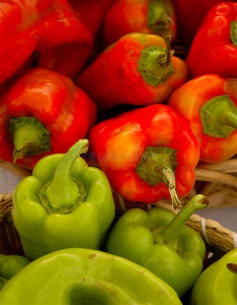 Colorful Green And Red Peppers Stock Photo Image Of Wooden