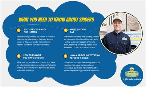 Spider Exterminators In Houston Naturalcare Pest Control