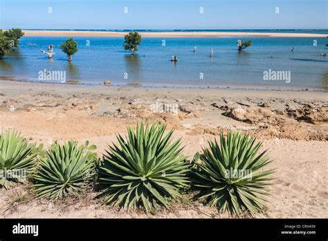 Seascape Of Ifaty Southwestern Madagascar Stock Photo Alamy