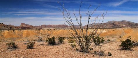 Texas Cosa Vedere E Visitare Consigli Di Viaggio Myusa It