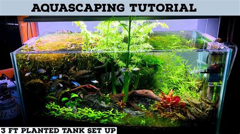 Step by Step Planted Tank Tutorial | Complete Planted Aquarium Setup ...