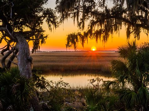 Visit Cumberland Island National Seashore Moon Travel Guides