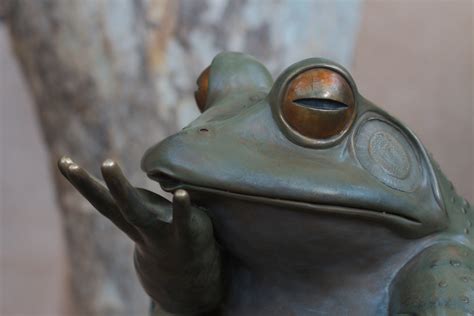 Free Images Monument Statue Metal Frog Amphibian Close Up