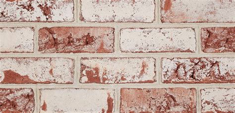 North New Jersey Thin Brick White Belden Tri State Building Materials