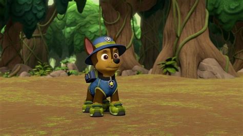 Pin By Thomas Ash On Paw Patrol Pups Paw Patrol Pups Paw Patrol