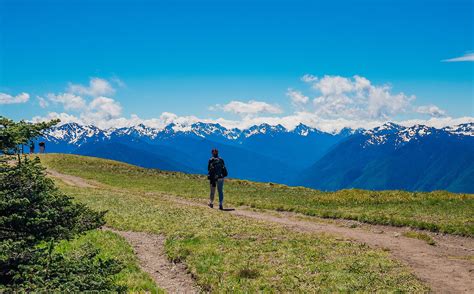 Hurricane Hill Olympic National Park Hike 25 52 Next Stop Adventure