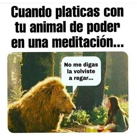 Pin De Andrea En Chingon Espiritualidad Memes Divertidos Frases