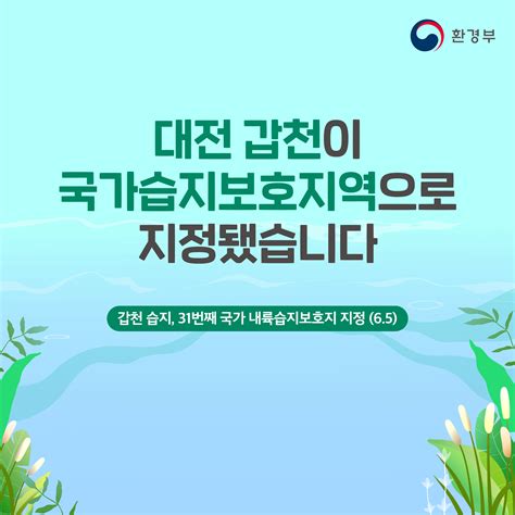 환경부 카드뉴스 대전 갑천이 국가습지보호지역으로 지정됐습니다