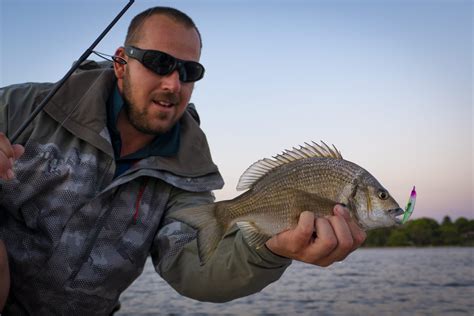 Catching Bream with Surface Lures - Perth Fishing TV v3 - Videos