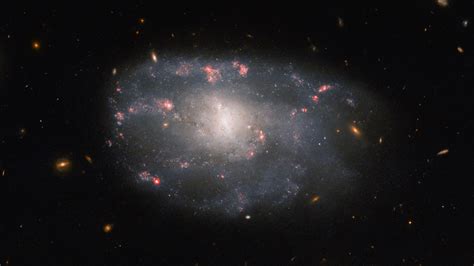 Hubble Space Telescope Spies Irregular Spiral Galaxy In Ursa Major