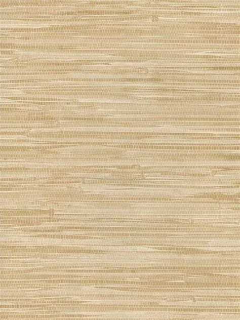 Printed Grasscloth Sidewall 40549454 National Geographic Home