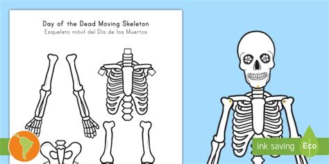 412 Top Skeleton Teaching Resources