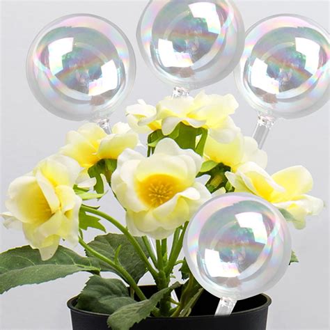 Amazon Sviccookq Pcs Clear Glass Plant Watering Globes Watering