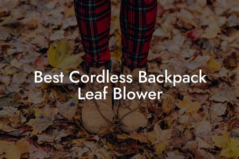 Best Cordless Backpack Leaf Blower - Leaf Blower Hire UK