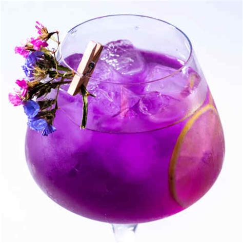 16 Purple Cocktails Vibrant Flavorful Purple Hued Drinks