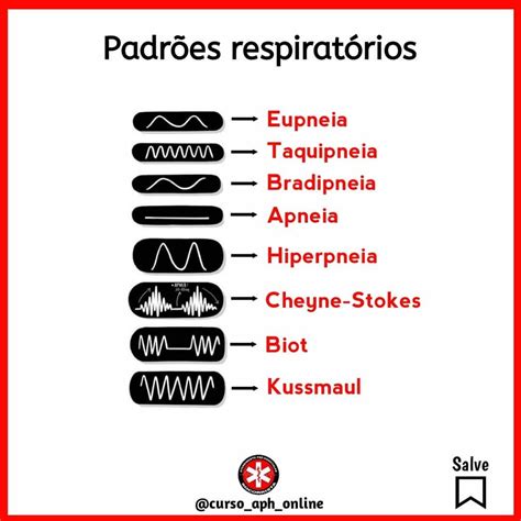 Cursos De Socorrista Online On Instagram Eupneia Respira O Normal