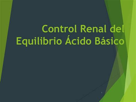 Control Renal Del Equilibrio Cido B Sico Deep Medicine Udocz