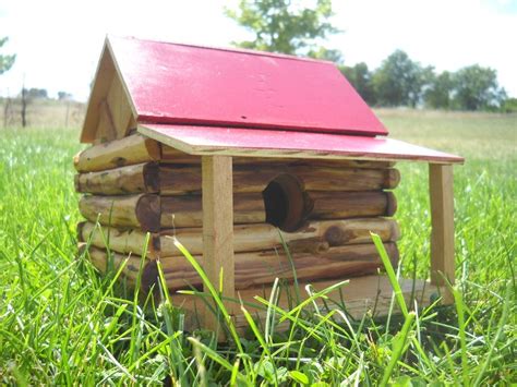 10 Easy Diy Bird House Plans Ann Inspired