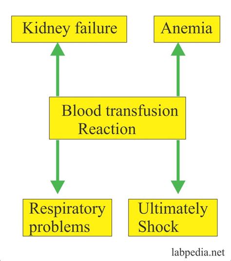 Blood banking – part 4 – Blood Transfusion Reactions and Treatment – Labpedia.net