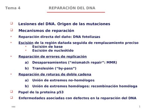 Ppt Nrh Reparaci N Del Dnatema Lesiones Del Dna Origen De Las