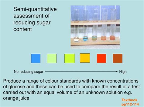 Ppt Testing For Reducing Sugars Benedicts Test Powerpoint