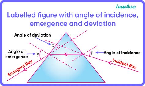 Class 10 Mcq Human Eye In This Diagram The Angle Of Incidence