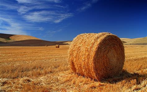 Online Crop Hd Wallpaper Bail Of Hey Field Stack Hay Bale