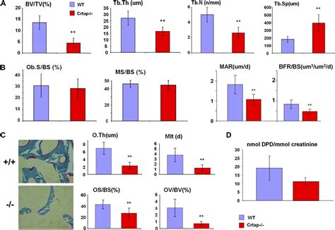 Osteochondrodysplasias | Semantic Scholar