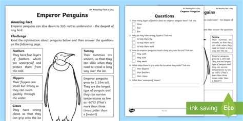 Emperor Penguin Reading Comprehension Worksheet / Activity Sheet