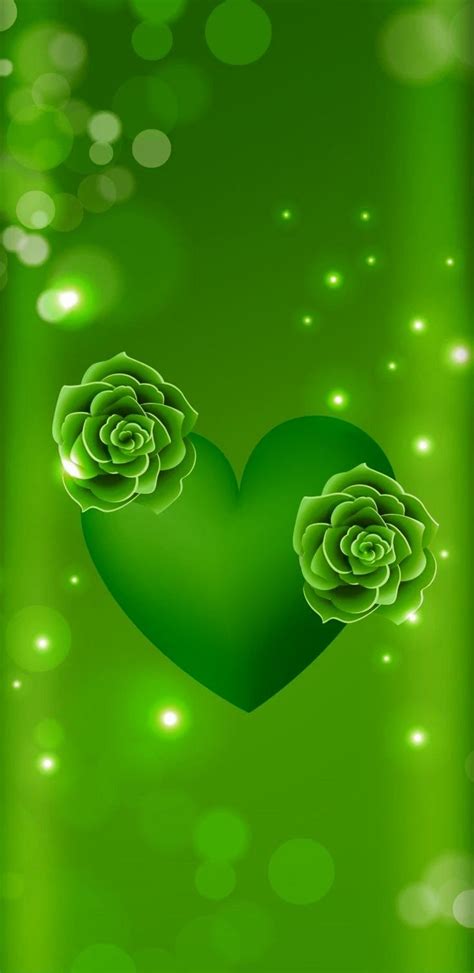 Parede Wallpapergreenheartleafplantrose 800837 Wallpaperuse