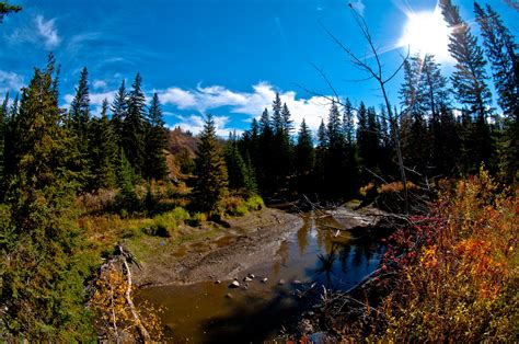 Of The Best Hikes In And Around Edmonton