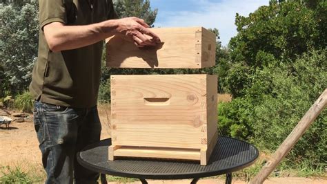 D Buter En Apiculture Ruche Dadant Cadres L Ments Et Assemblage