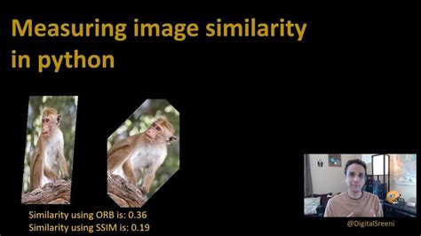 Measuring Image Similarity In Python How To Use Python Similarity