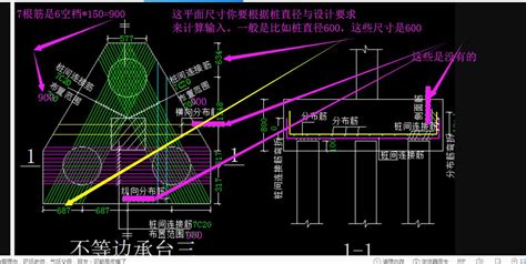 这个桩承台的钢筋信息该怎么输入呢 服务新干线答疑解惑