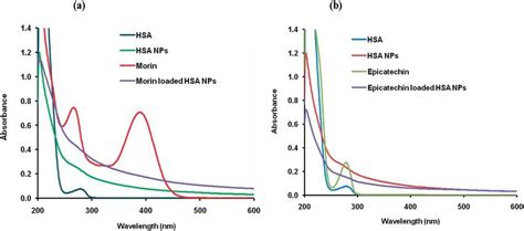 Uv Vis Absorption Spectra Of A Hsa Hsa Nps Morin And Morin Loaded