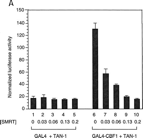 A Histone Deacetylase Corepressor Complex Regulates The Notch Signal