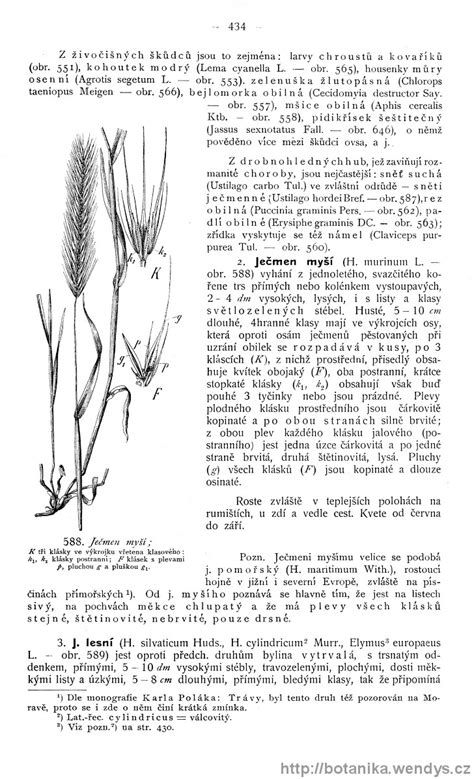 Názorná květena zemí koruny české svazek 4 strana 434