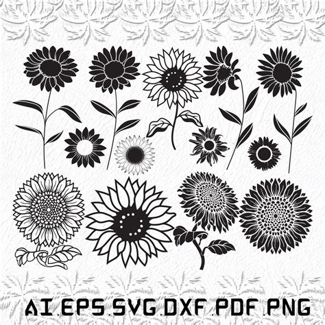 Sunflower Svg Sunflowers Svg Sun Flower Svg Flowers Flower Svg Ai