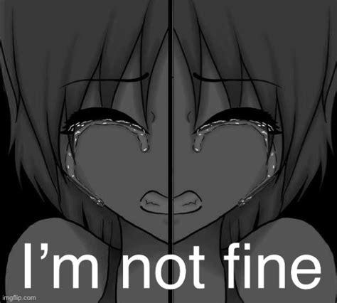 Im Fine Meme