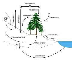 Soils And Hydro Study Guide Flashcards Quizlet