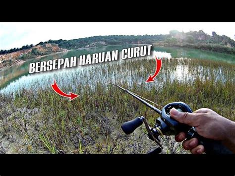 Terjah Spot HARUAN Air Jernih Casting Ikan Gabus YouTube