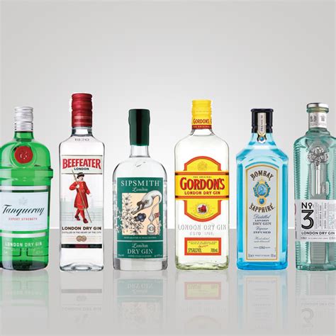 Types Of Gin Explained Good Gin Brands To Drink 43 OFF