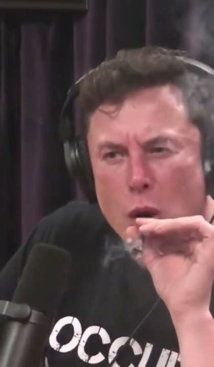 Elon Musk Smoking Weed Youtube