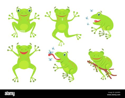 Cute Frogs Cartoon Illustration Set Funny Green Croaking Toads And