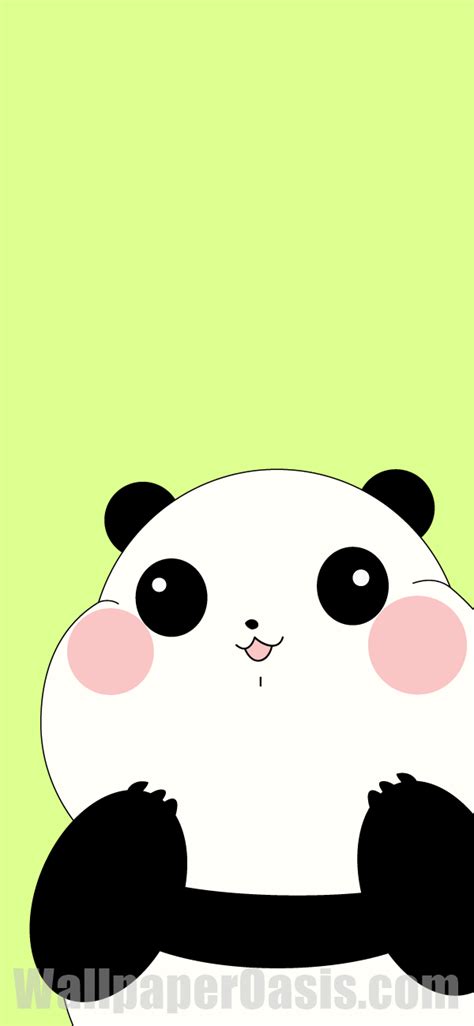 Cute Panda iPhone Wallpaper