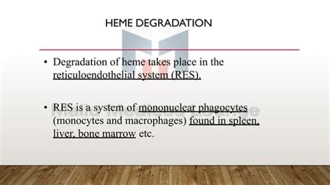 Heme Catabolism And Degradation Pathway Bilirubin Metabolism Ppt