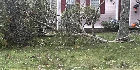 Storm Debris Disposal Information | Barnstable eNews