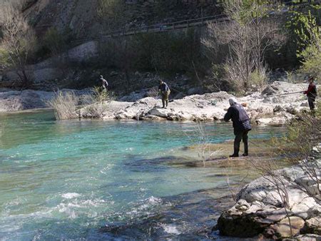 Quali Trote Per L Apertura Pesca Alla Trota In Torrente Ambienti