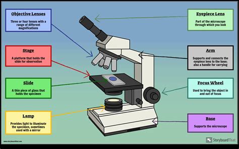 Parts Of A Microscope Labeled